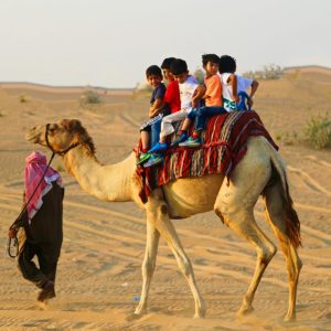 Desert-safari-in-Dubai-68153-pixahive-1024x683